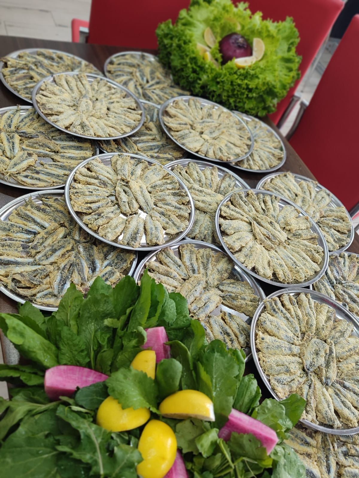 Lider Balıkçılık